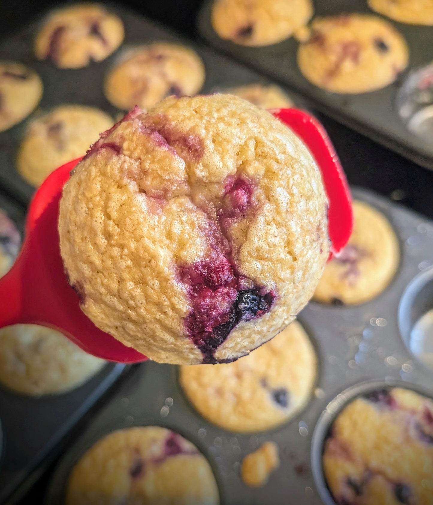 Muffin aux fruits (2/paq)